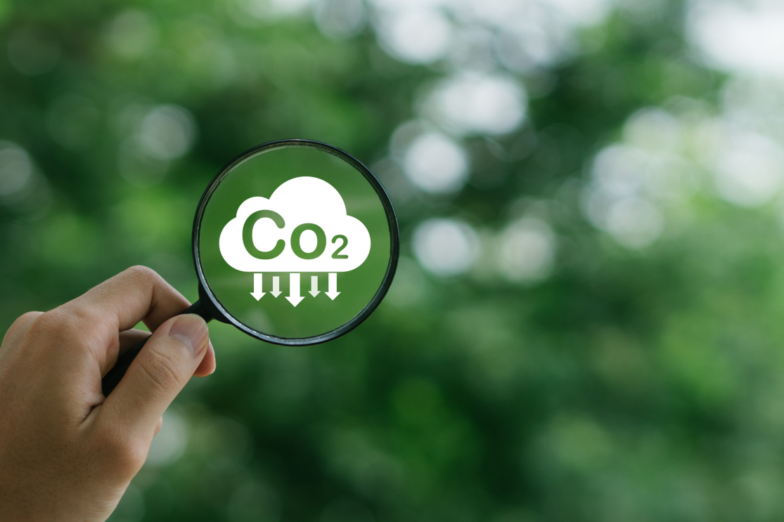 CO2排出量の削減